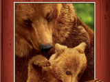  Постер Медведи / DisneyNature: Bears