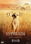  Постер Сурикаты / The Meerkats