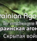 Постер Украинская агония.Скрытая война