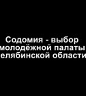 Постер Содомия - выбор молодежной палаты Челябинской области?