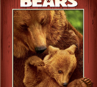  Постер Медведи / DisneyNature: Bears