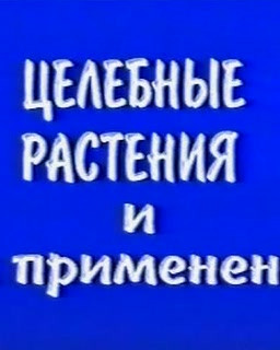 Целебные растения и их применение: фитотерапия, травничество, нетрадиционная медицина.