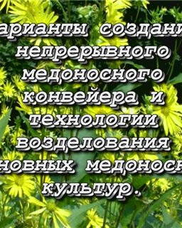 Пермакультура и пчеловодство. Донниковая система земледелия. Савин А.П. [2008г., лекция, DVDRip]