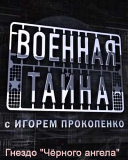 Военная тайна. Гнездо  Чёрного ангела  (2010) SatRip