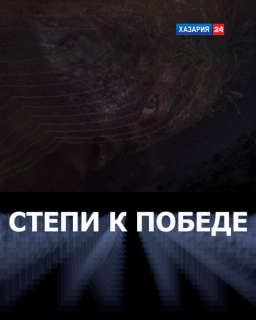 СТЕПИ К ПОБЕДЕ