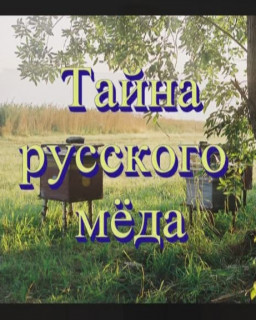 Тайна русского мёда.