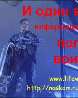 И один в информационном поле воин (2010, SATRip) 