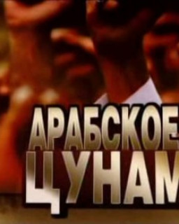 Арабское цунами. Арабское цунами : подводные камни