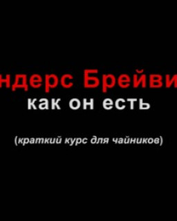 Андерс Брейвик как он есть