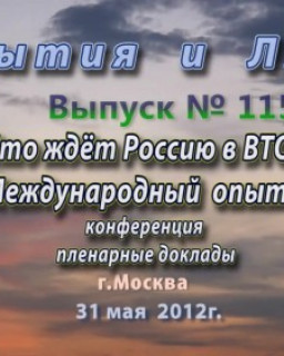 Что ждёт Россию в ВТО. Международный опыт