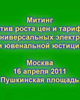 Митинг против роста цен и тарифов, введения универсальных электронных карт и ювенальной юстиции