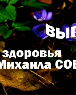 Школа здоровья Михаила СОВЕТОВА (выпуски 11-20)