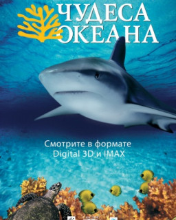 Чудеса океана / Ocean Wonderland