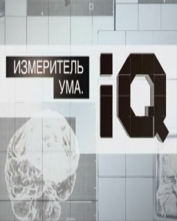 Измеритель ума. IQ