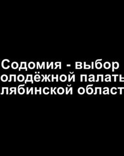 Содомия - выбор молодежной палаты Челябинской области?