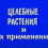 Картинка - Целебные растения и их применение: фитотерапия, травничество, нетрадиционная медицина.