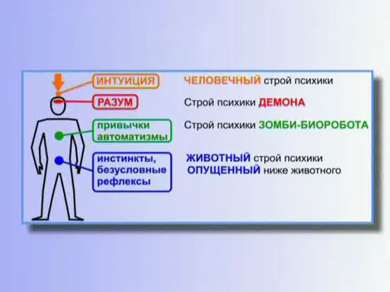 Просмотр картики 29943.jpg 