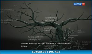 Просмотр картики 51431.jpg 