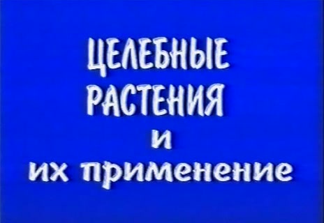 Постер Целебные растения и их применение: фитотерапия, травничество, нетрадиционная медицина.