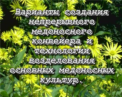 Постер Пермакультура и пчеловодство. Донниковая система земледелия. Савин А.П. [2008г., лекция, DVDRip]