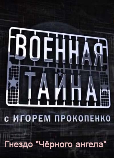 Постер Военная тайна. Гнездо "Чёрного ангела" (2010) SatRip