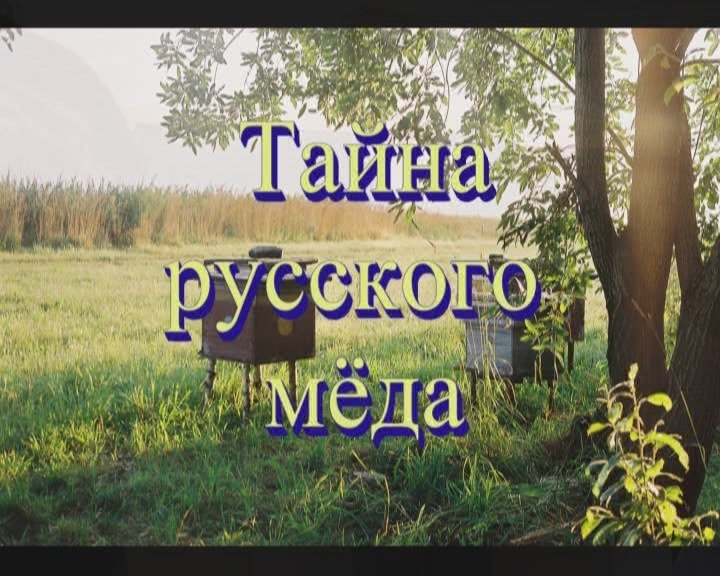 Постер Тайна русского мёда.