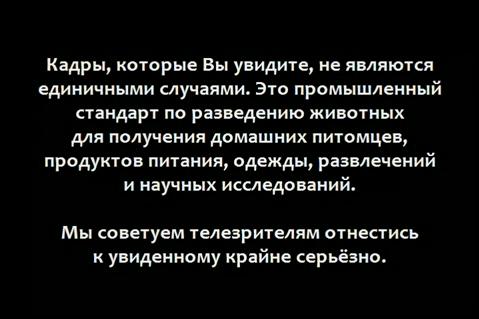 Скриншот 1 Земляне / Earthlings (Шон Монсон) [2003 г., Документальный, просветительский, полная версия, DVDRip