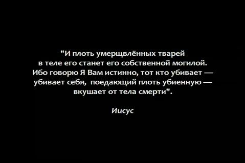 Скриншот 3 Земляне / Earthlings (Шон Монсон) [2003 г., Документальный, просветительский, полная версия, DVDRip