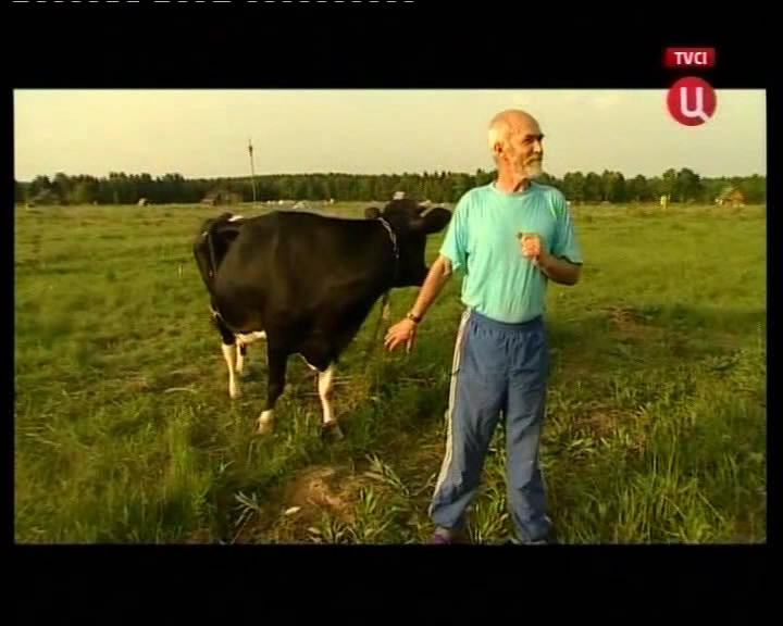 Скриншот 4 ТВЦ: В центре внимания о родовых поместьях (Блеск и нищета сельской жизни)