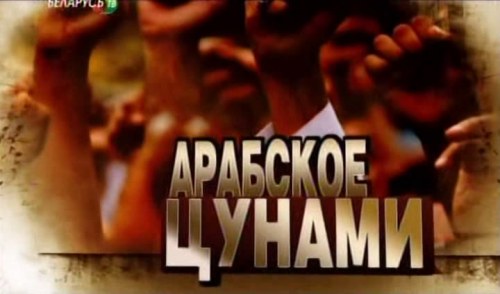 Постер Арабское цунами. Арабское цунами : подводные камни