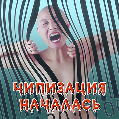 Постер Чипизация началась