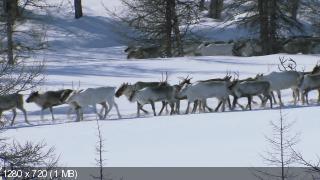 Скриншот 4 Рожденные в снегах