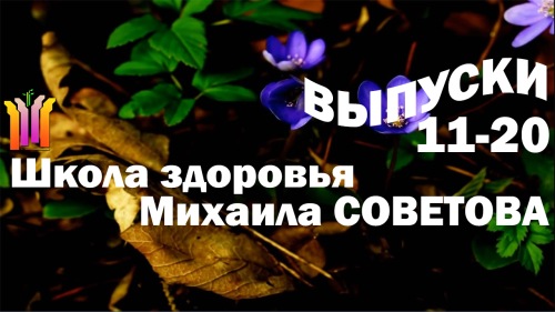 Постер Школа здоровья Михаила СОВЕТОВА (выпуски 11-20)