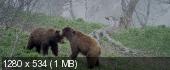 Скриншот 4 Земля медведей / Land of the Bears / Terre des ours