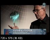 Скриншот 2 Люди: Кто мы? Рождение человеческого разума