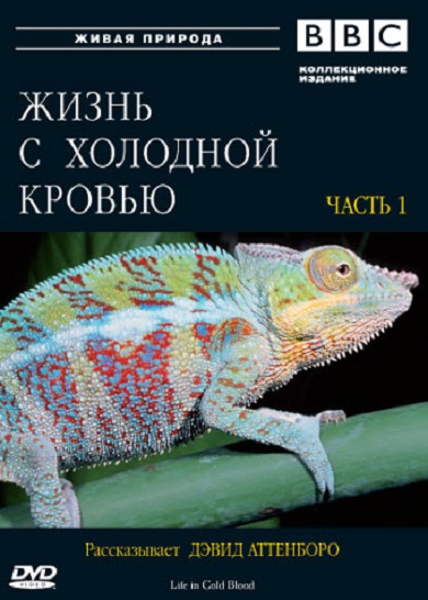 Постер BBC: Жизнь с холодной кровью